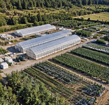 Greenhouses and cultivation areas viewed from above